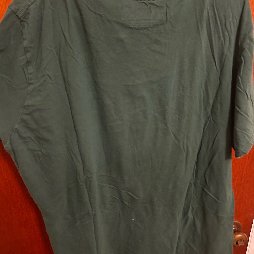 Green Graphic T-Shirt with Alaska Fattie Print - Picture 3 of 5